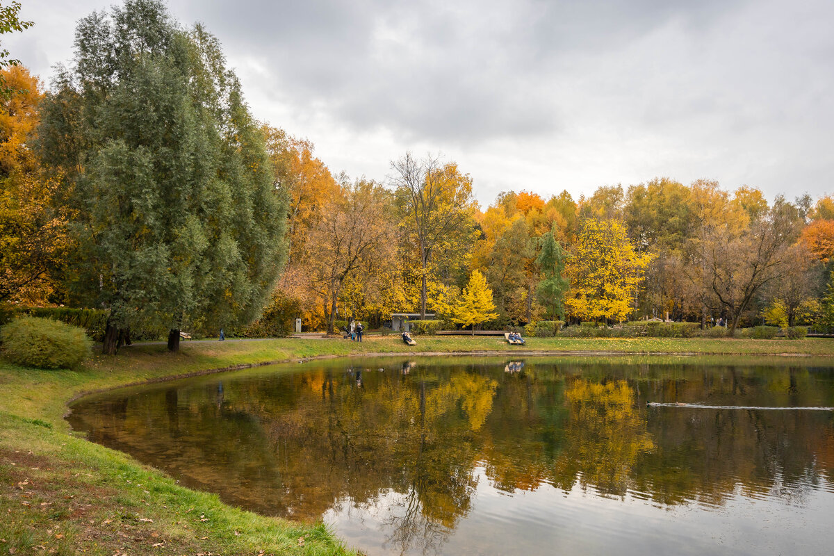 Золотой пруд. Парк "Сокольники" - Олег Дорошенко