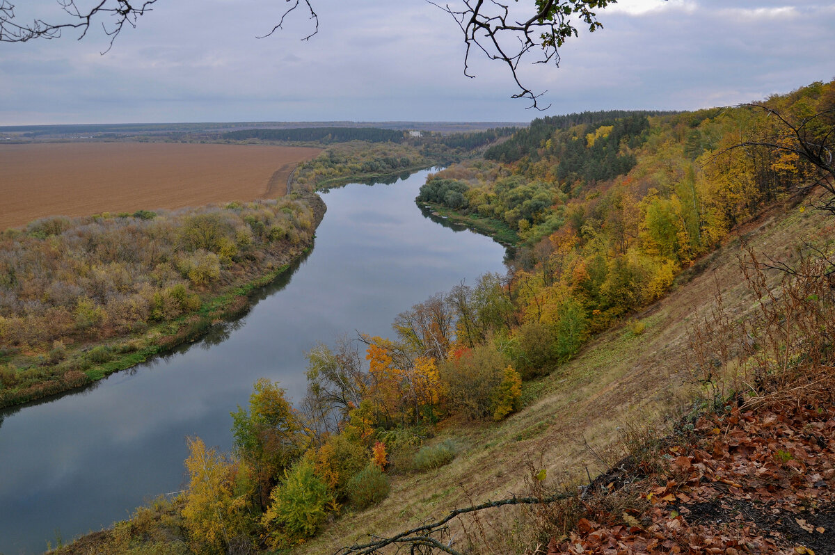 Красавица Осень по берегам Дона-батюшки - Татьяна Машошина