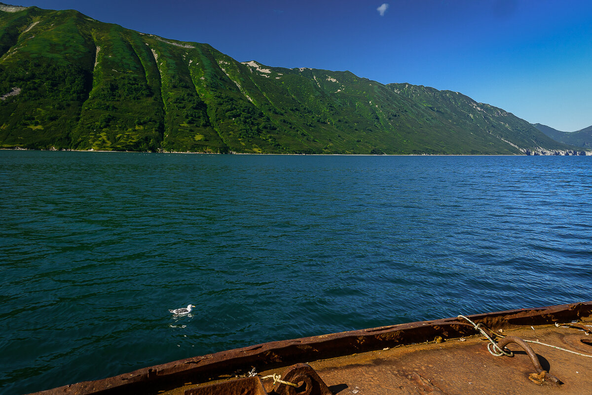 ... - Жора Житников ... - Жора Житников