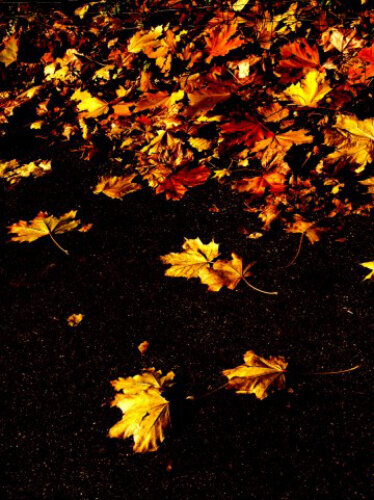 Осень 4 - Алексей Кузнецов