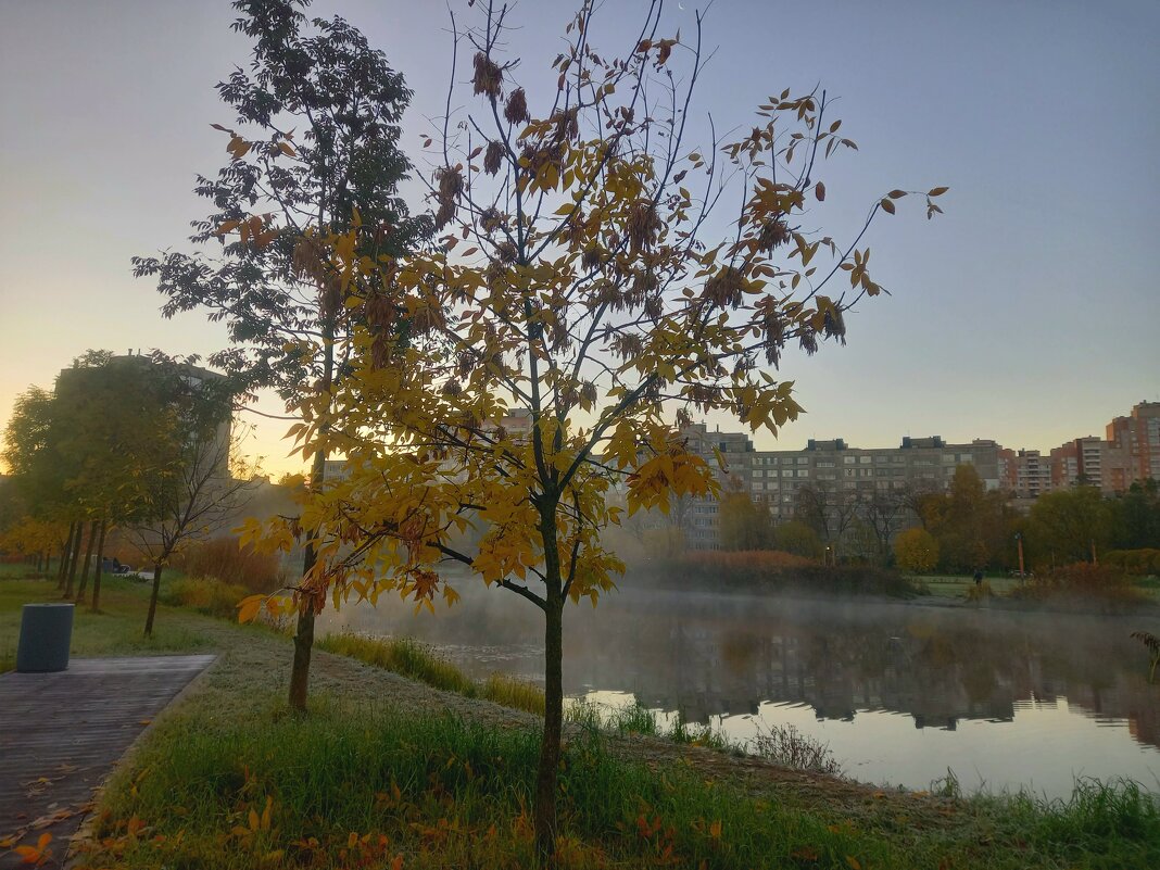 Рассвет - Сапсан 