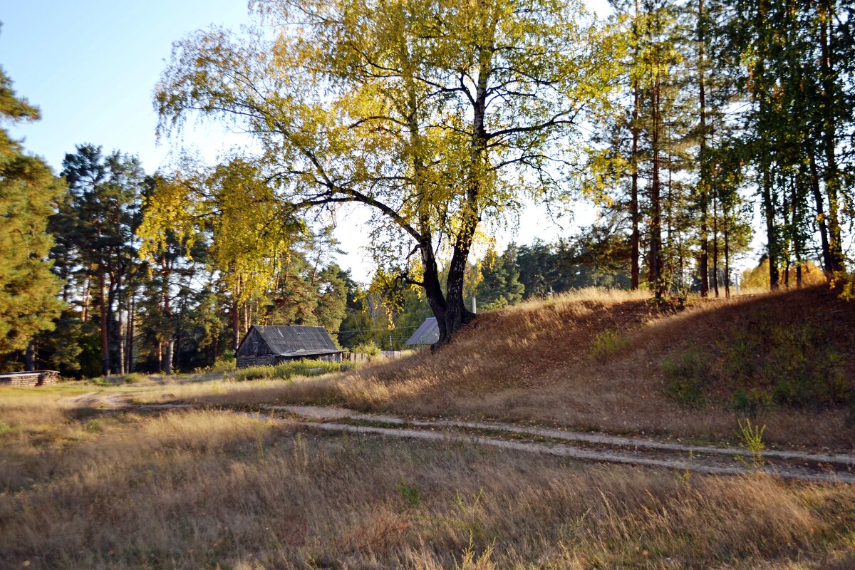 За околицей - Galina Solovova
