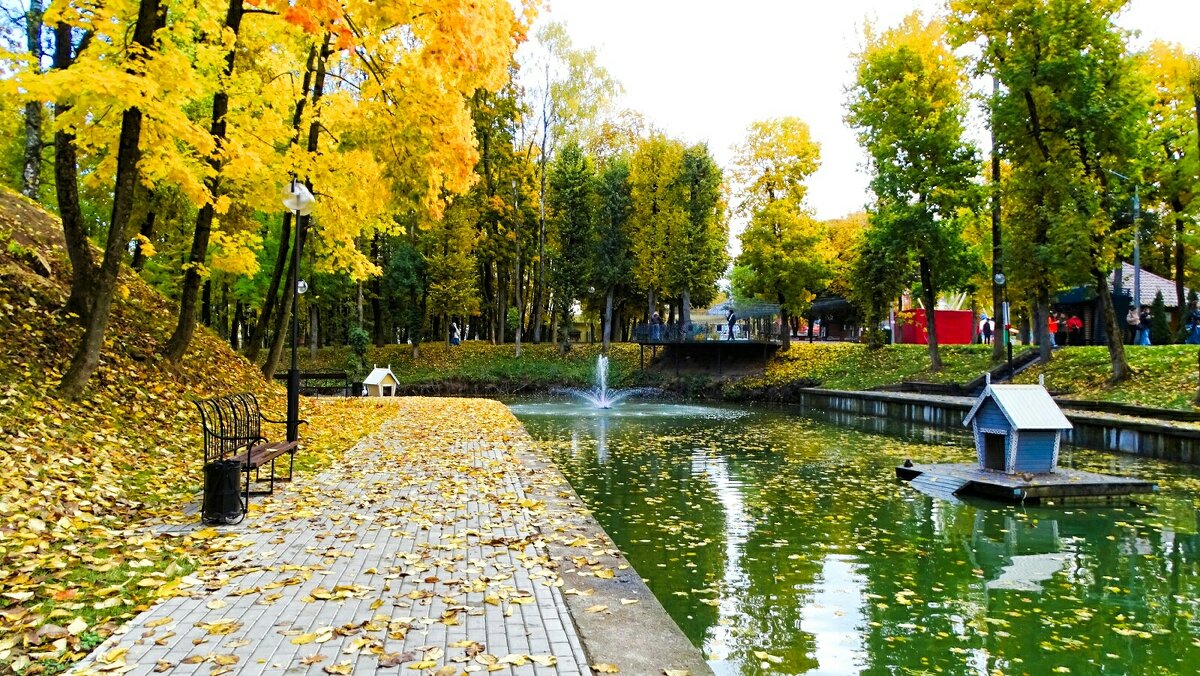 Осенний сад. - Милешкин Владимир Алексеевич 