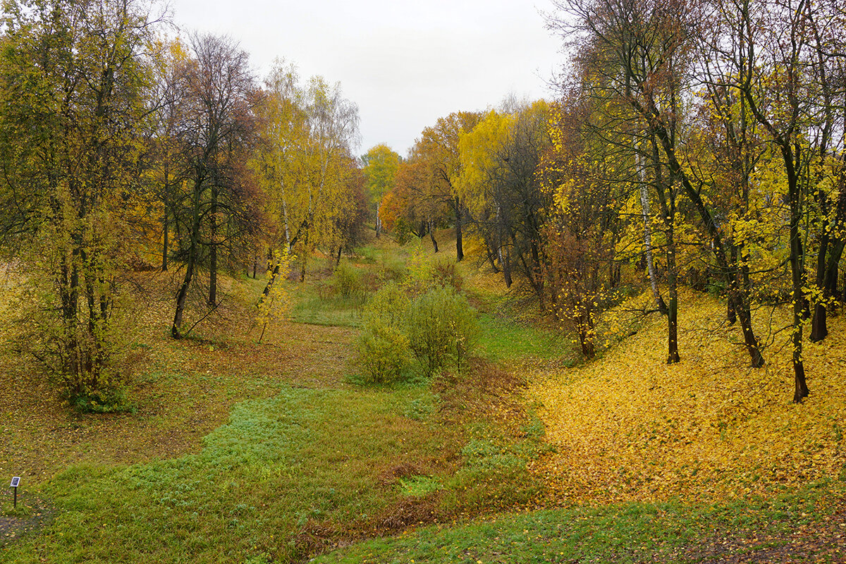 Осень в Царицыно - Ольга 