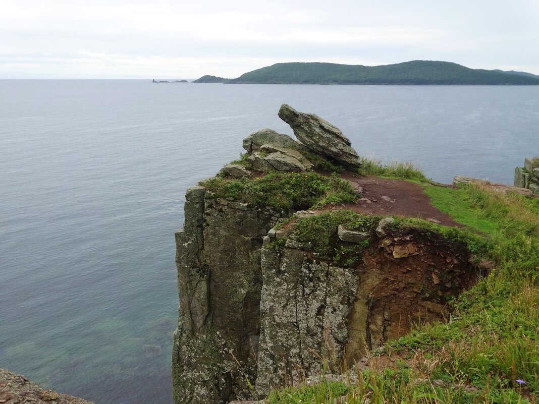 Парящая черепаха - Лидия Бусурина