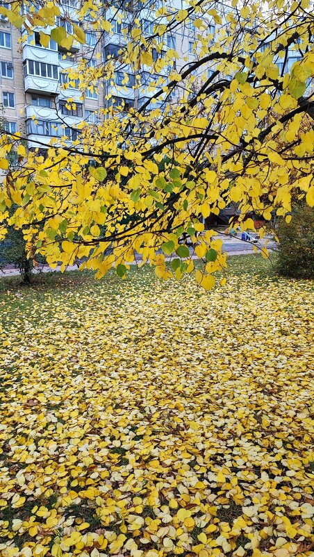 ,,, - Сергей Тимоновский