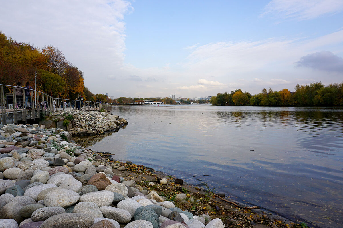 ... - Лариса Корж