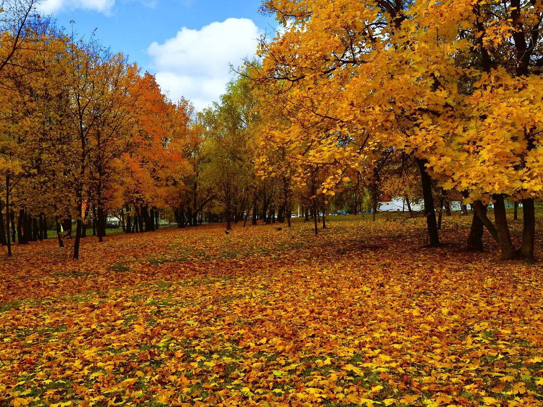 Чебоксары. Сквер им. Чапаева осенью. - Пётр Чернега