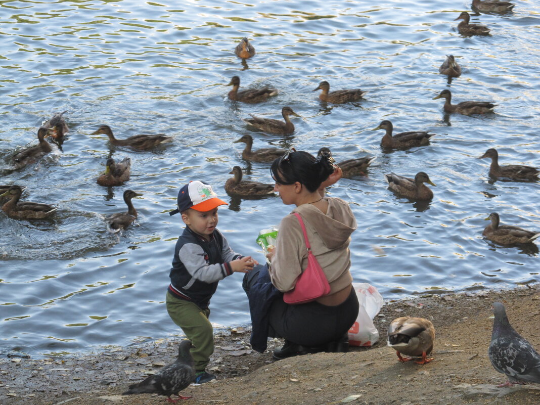 В Харитоновском парке - Елена Шаламова