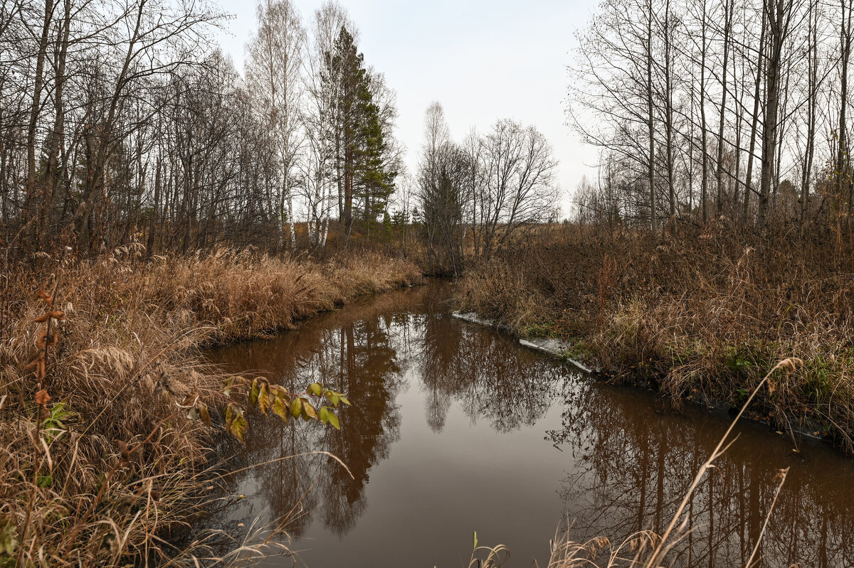 предзимье - сергей 
