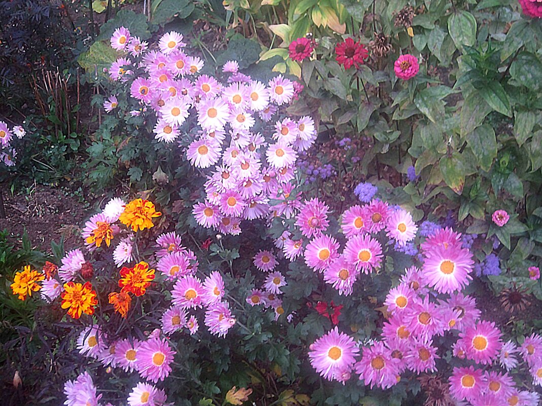 Осенние - Елена Семигина