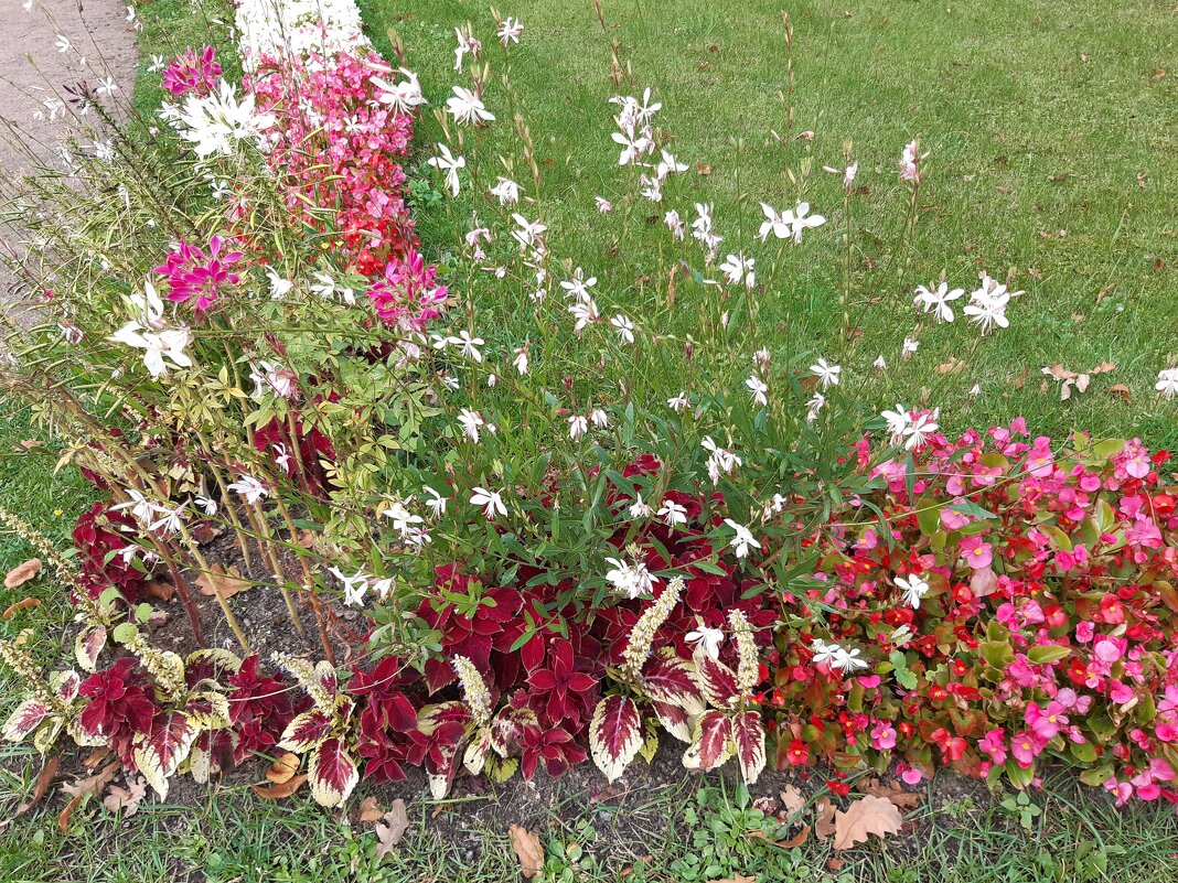 Павловск, Павловский парк - Галина Минчук Павловск, Павловский парк - Галина Минчук