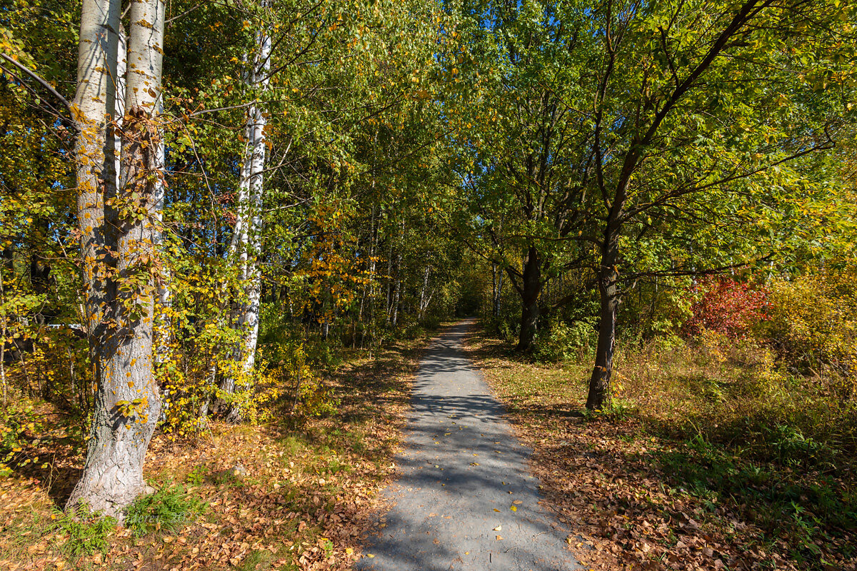 Сентябрьский день - Александр Синдерёв