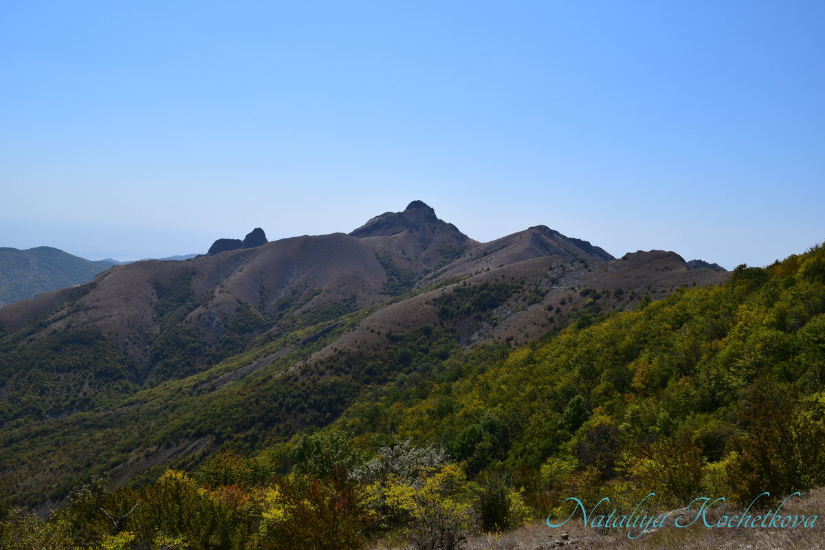Природа Крыма - Amazing Cosmea