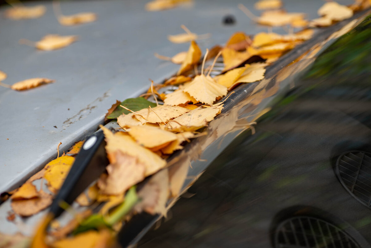 Осень - Владимир Иванович