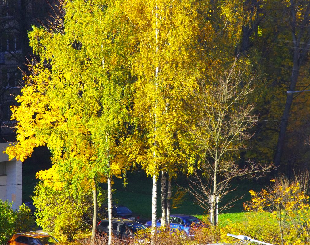 На той стороне улицы - солнце !.. - Юрий Куликов