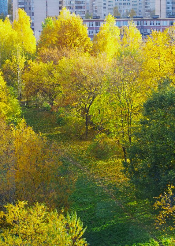 Вчера вечером... - Юрий Куликов