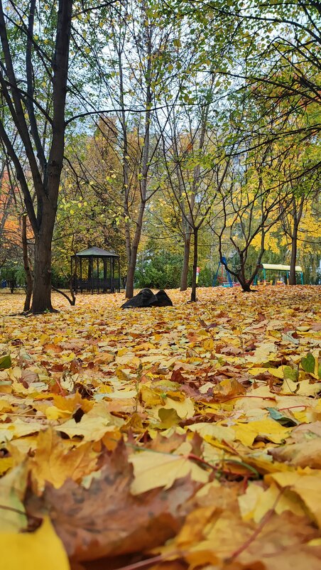 ,,, - Сергей Тимоновский