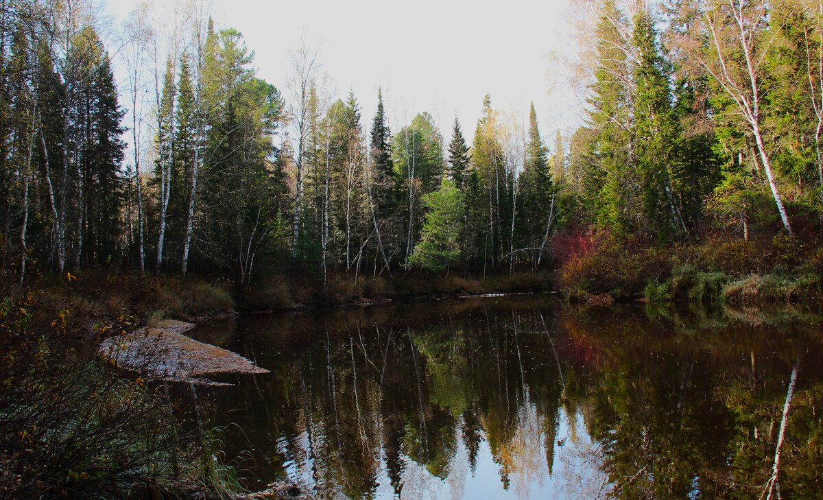 Тихая заводь - Сергей Никифоров