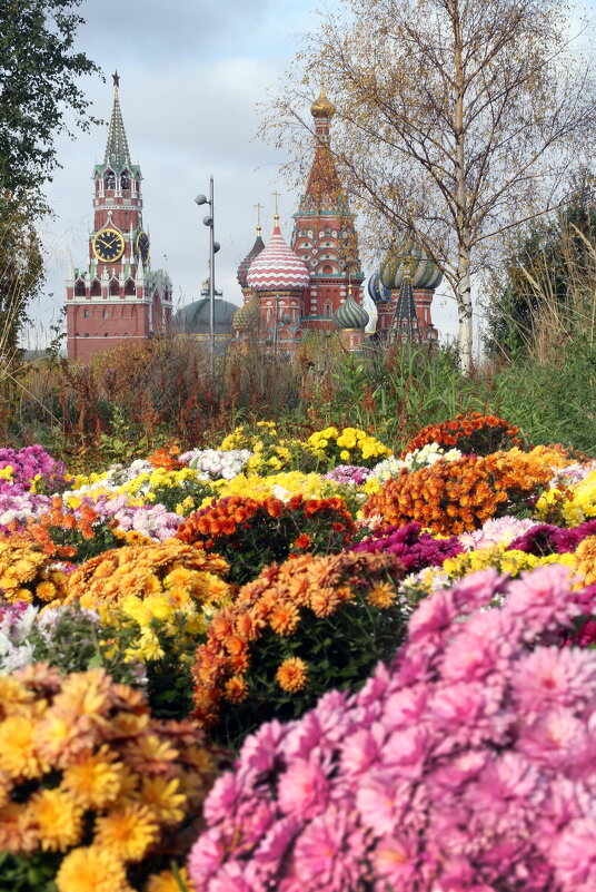 Зарядье 18 октября - Михаил Бибичков