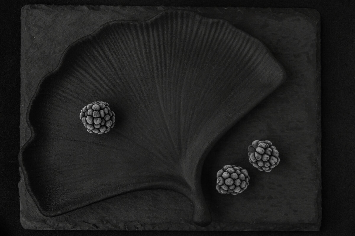 Лист из гипса - Валерий Елистратов