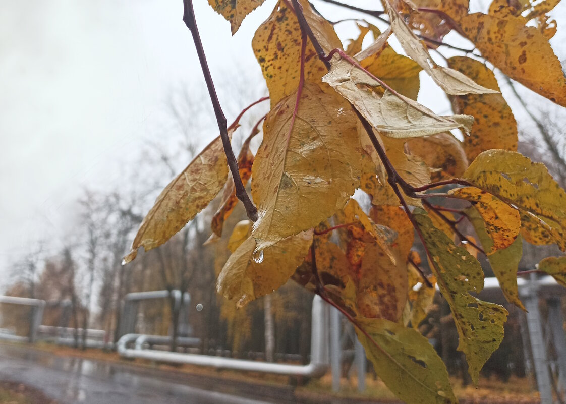 Дождь над промзоной. - Вячеслав. Синицын