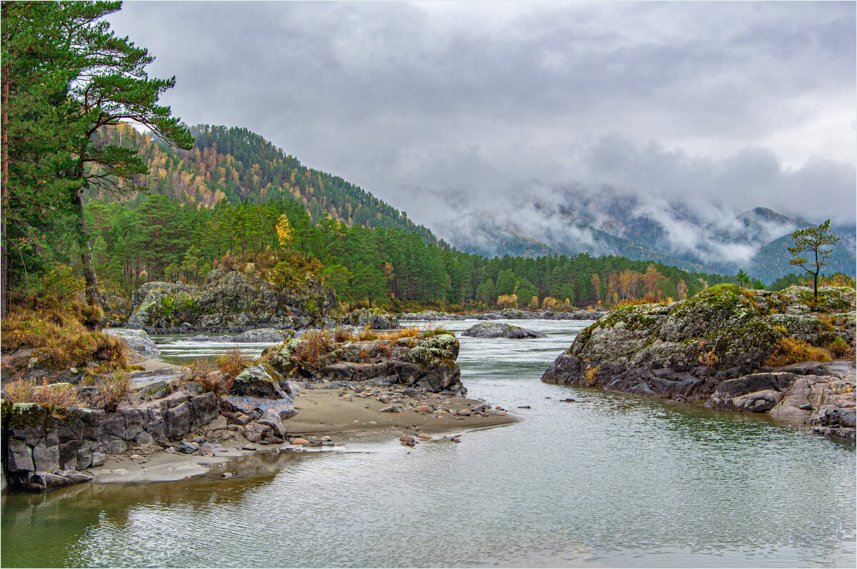 ****** - Алексей Мезенцев