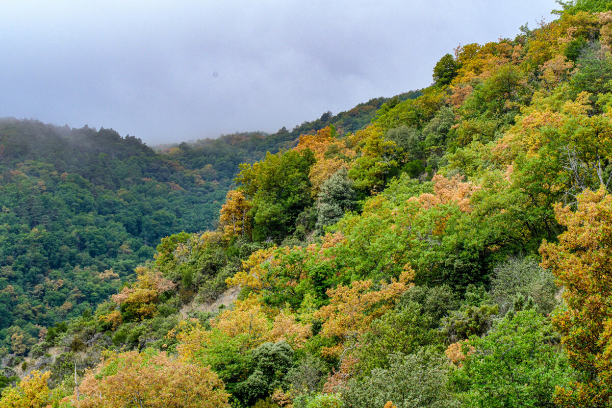 В горах осень уже началасьв середине августа - Георгий А