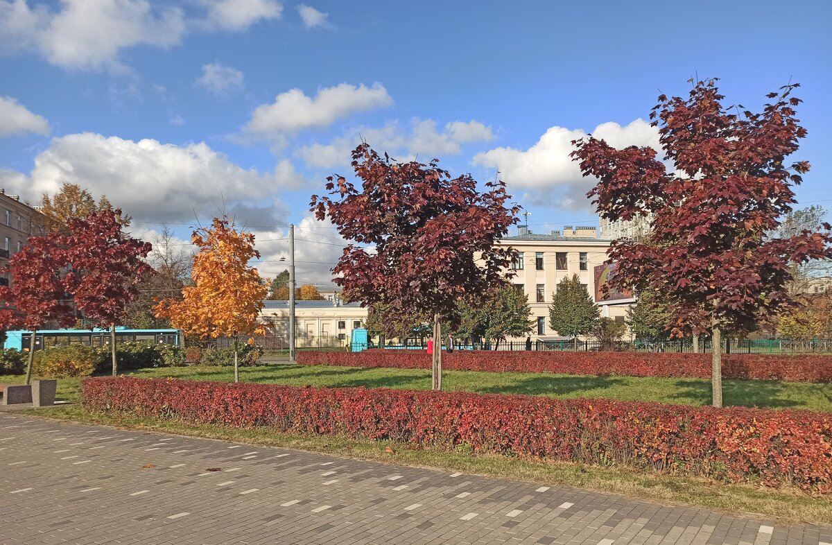 Краски осени - Татьяна Осипова(Deni2048)