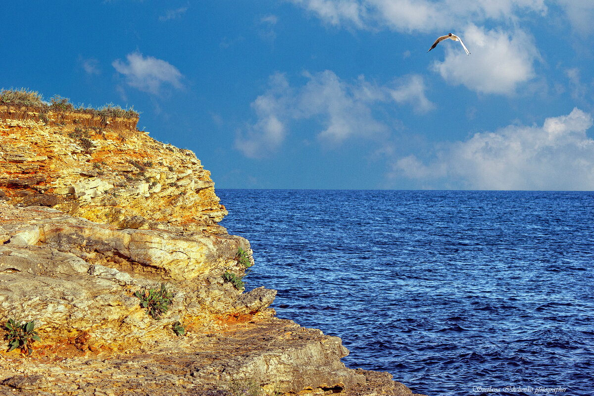 Море и небо - Светлана Ищенко