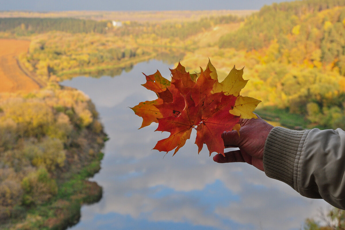 Это ОСЕНЬ... - Татьяна Машошина