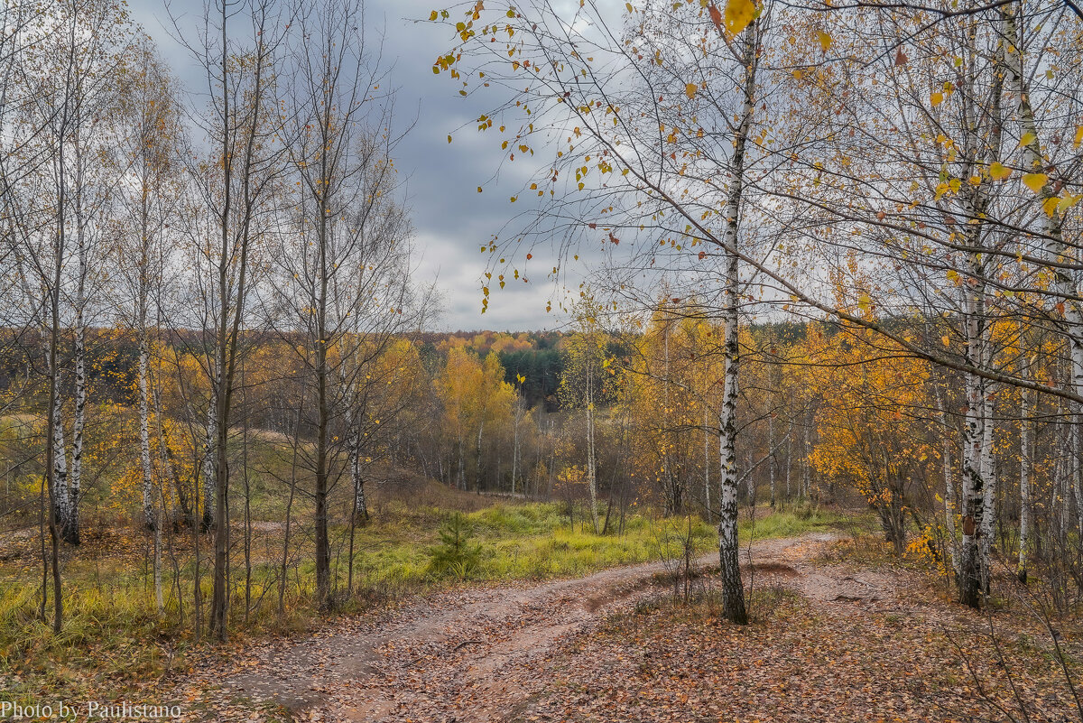Палитра октября... - Владимир Жданов