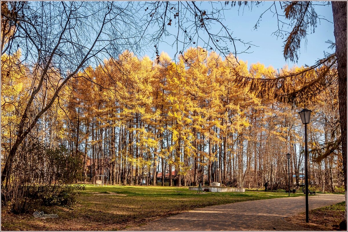 Солнечный октябрь. - Aquarius - Сергей