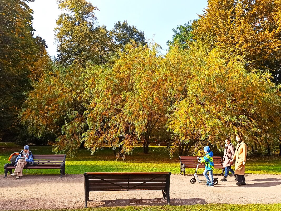 Осень в Москве - svk *