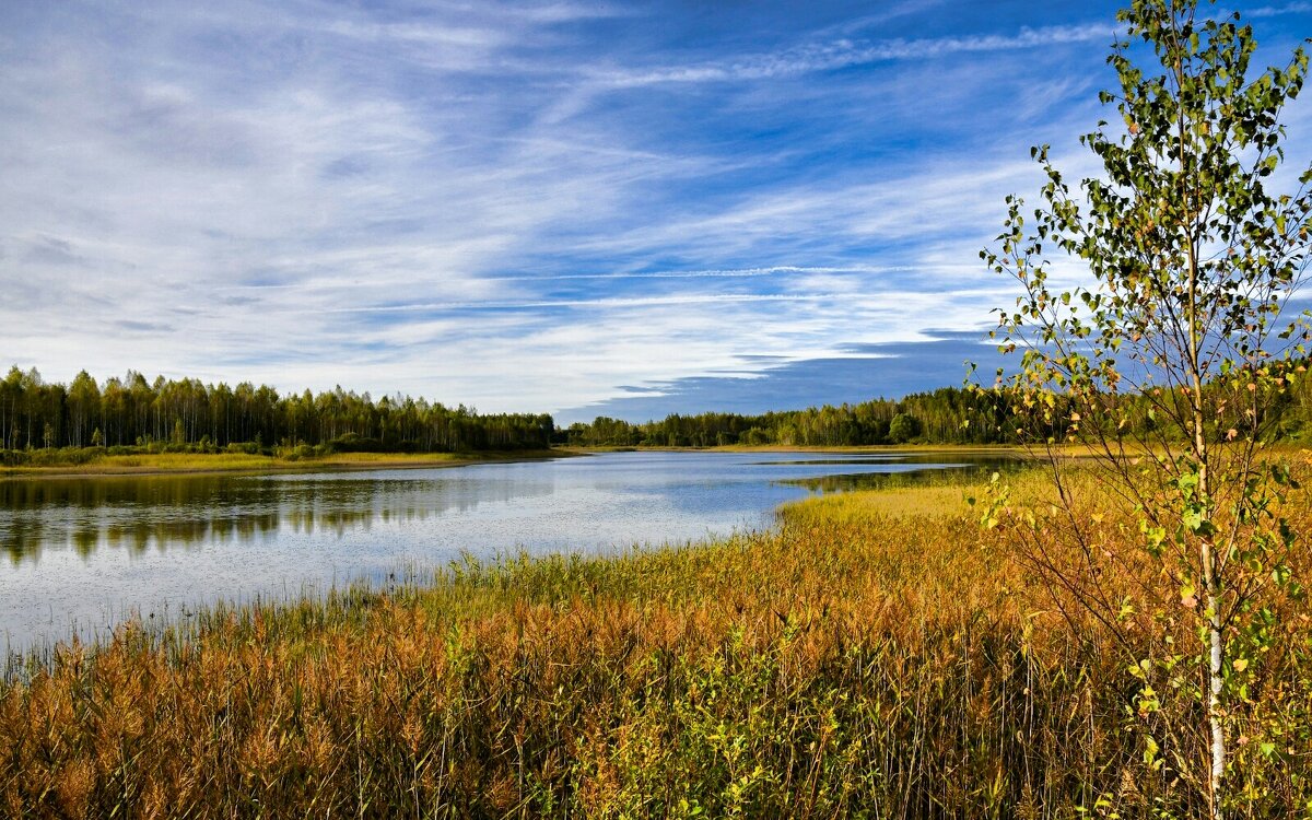 Про озёра Смоленщины. - Милешкин Владимир Алексеевич 