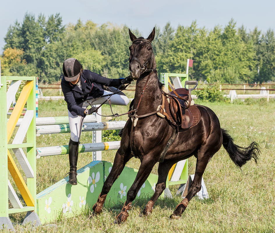 Конкур - SanSan 