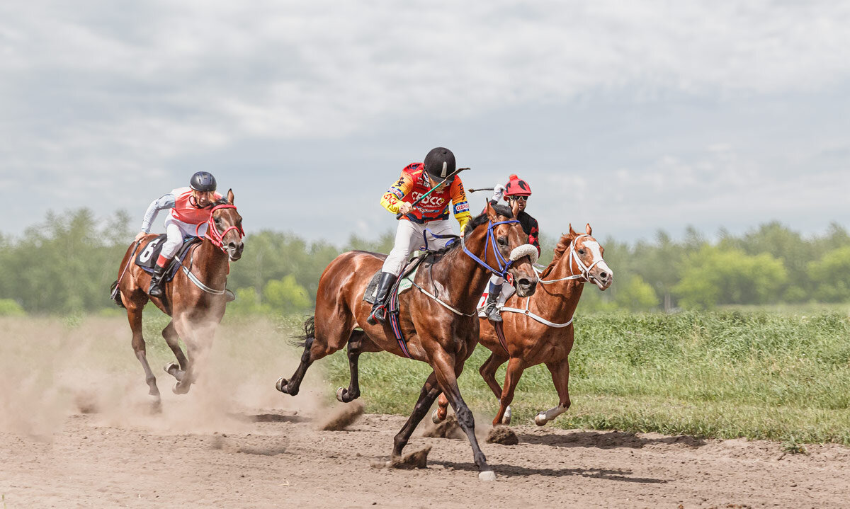 Скачки - SanSan 