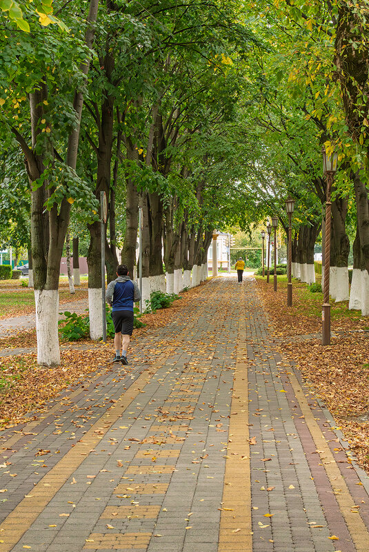 12 октября, практически середина осени - Игорь Сикорский
