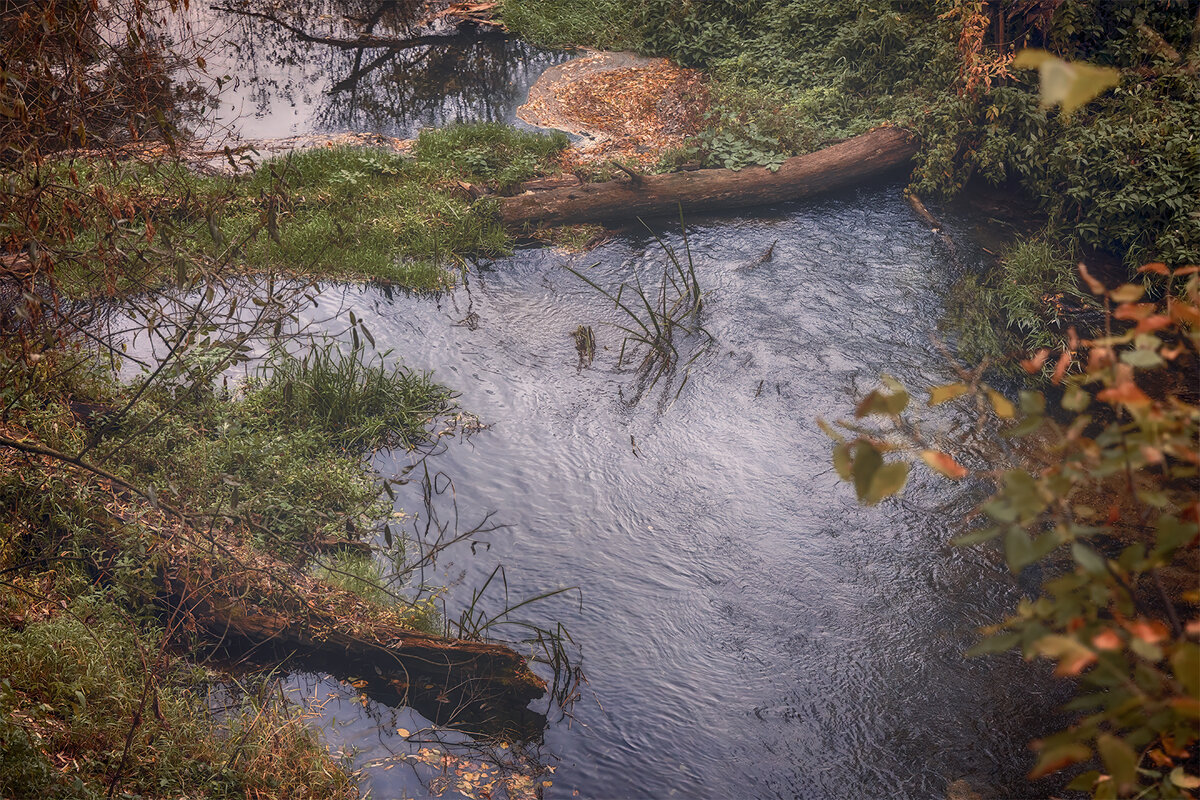 в овраге - Michel 