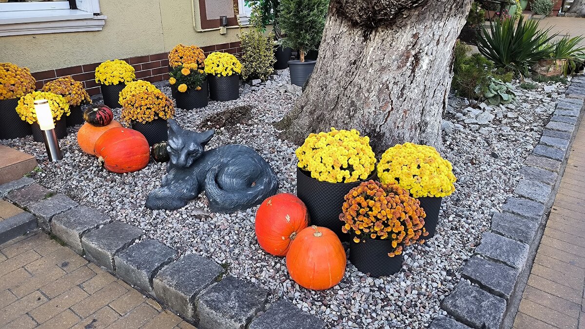 В Зеленоградске. - Ольга 