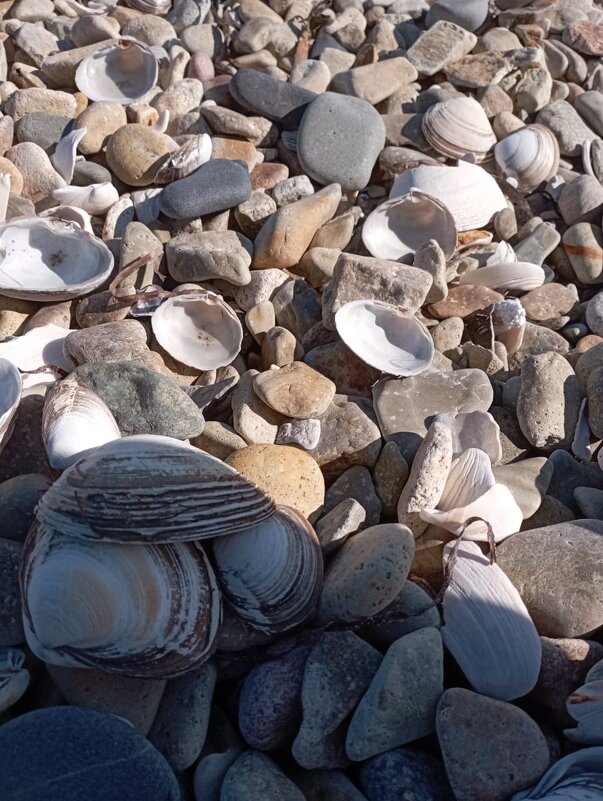 Интерьер моря - Елена Семигина