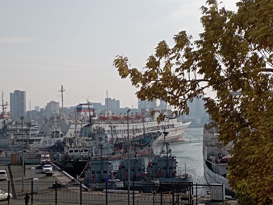 Город у моря - Елена Семигина