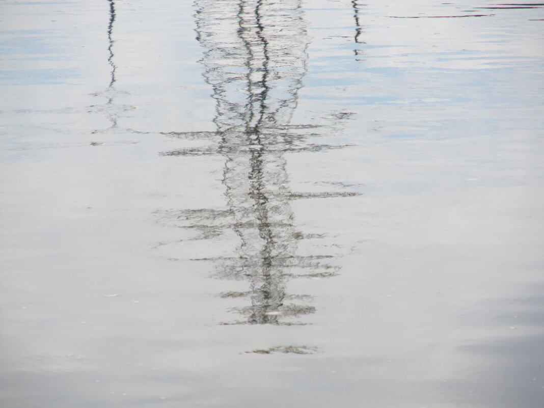 отражения - Елена Шаламова