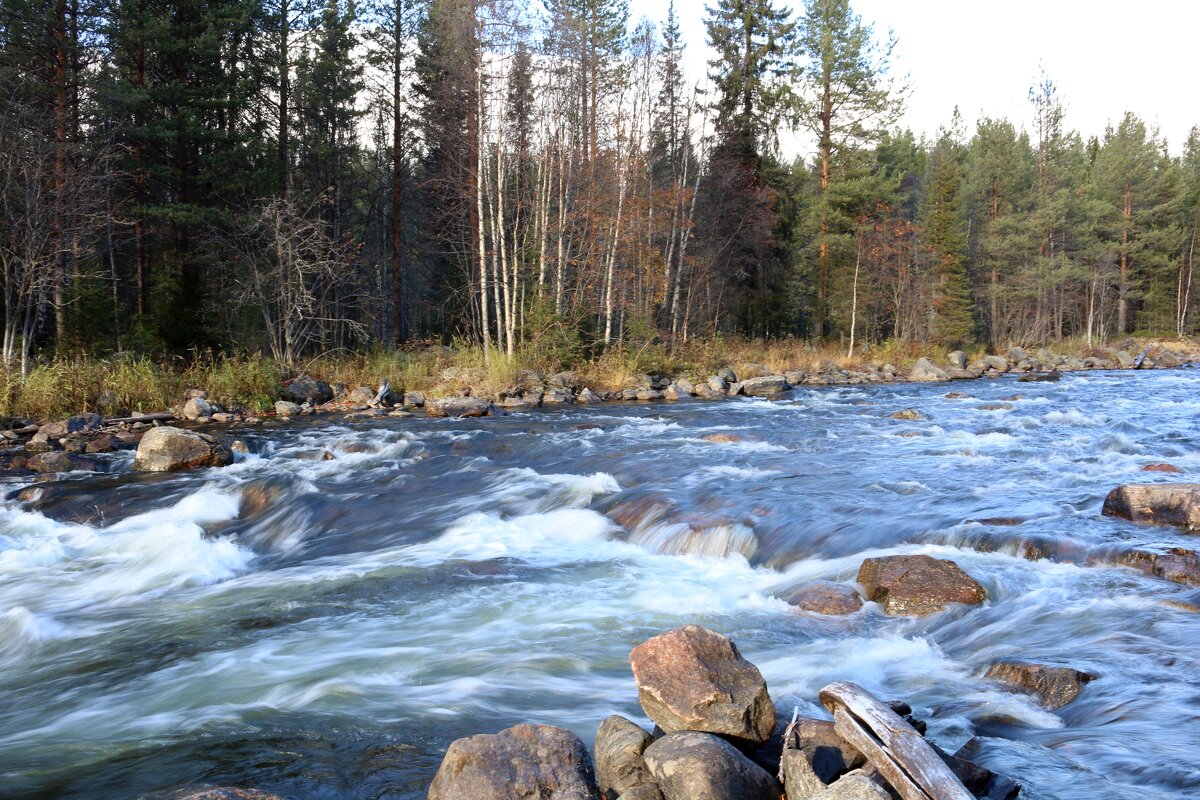 Быстрая Колвица - Ольга 