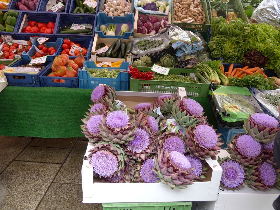 Артишоки - Ольга Лебедева (Беловласова)