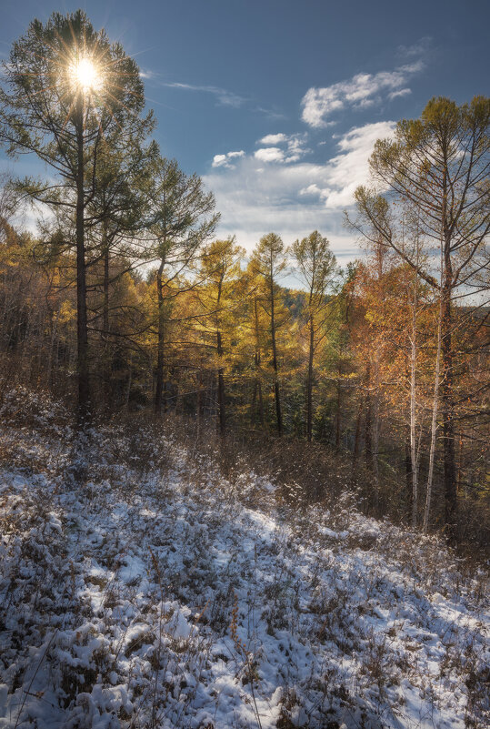 * - Александр Иванов