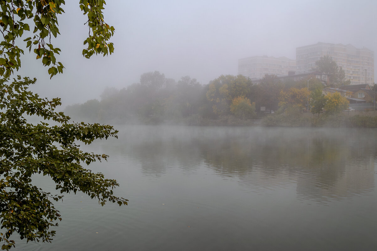 Туман 4 - Игорь Протасов