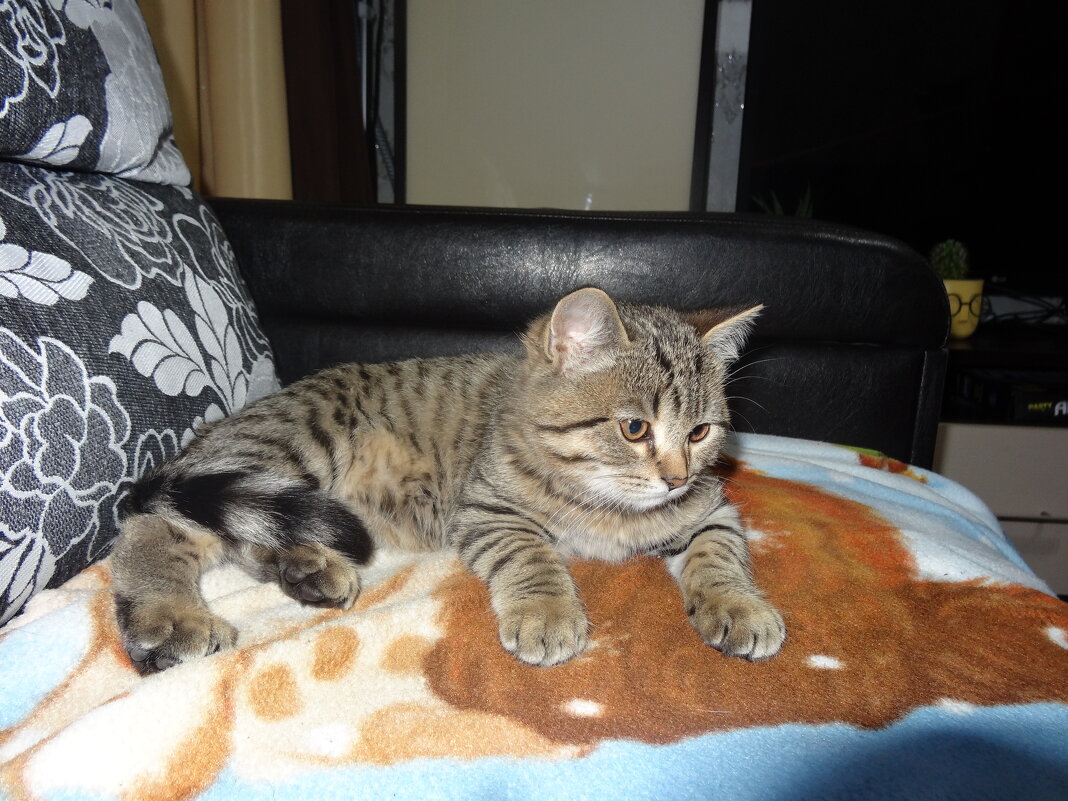 МУРЗИК - СЕРГЕЙ ФИЛОЧКИН МУРЗИК - СЕРГЕЙ ФИЛОЧКИН