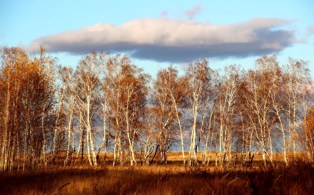 Октябрь. - Владимир Помазан