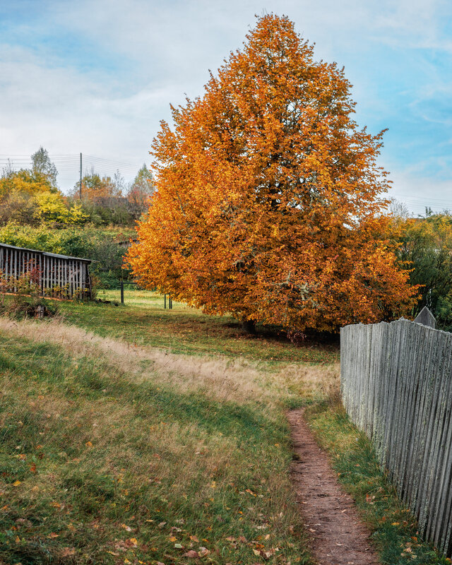 Октябрь - Владимир Колесников